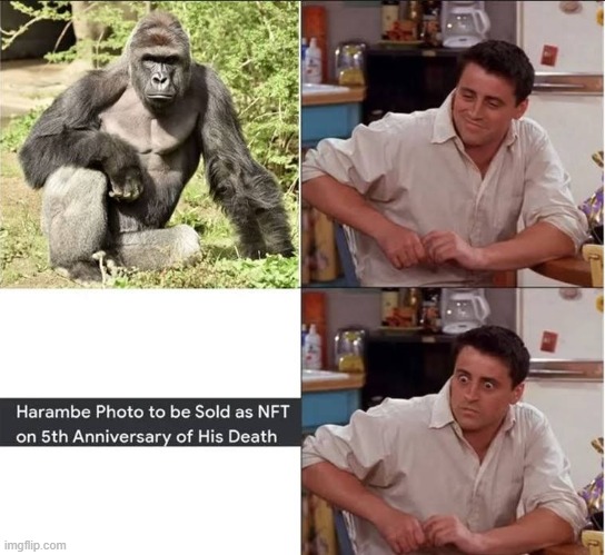 y tho? | image tagged in memes,nft,monke,harambe | made w/ Imgflip meme maker
