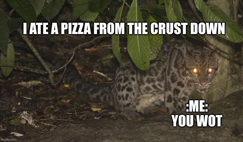 you wot | I ATE A PIZZA FROM THE CRUST DOWN; :ME: YOU WOT | image tagged in you wot | made w/ Imgflip meme maker