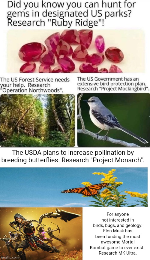 Do Your Own Research and you'll find some interesting things... | The USDA plans to increase pollination by breeding butterflies. Research "Project Monarch". For anyone not interested in birds, bugs, and geology: Elon Musk has been funding the most awesome Mortal Kombat game to ever exist. 
Research MK Ultra. | image tagged in research,us government,conspiracy,real life,memes | made w/ Imgflip meme maker