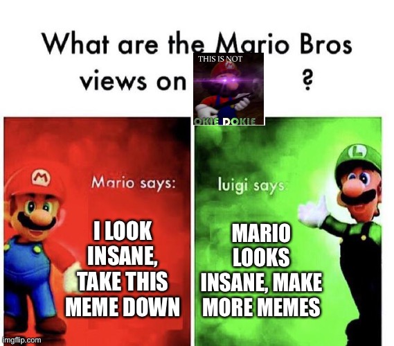 I don’t know why I did this | I LOOK INSANE, TAKE THIS MEME DOWN; MARIO LOOKS INSANE, MAKE MORE MEMES | image tagged in mario bros views | made w/ Imgflip meme maker