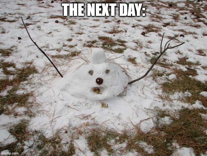Melted Snowman | THE NEXT DAY: | image tagged in melted snowman | made w/ Imgflip meme maker