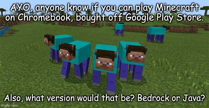 :) | AYO, anyone know if you can play Minecraft on Chromebook, bought off Google Play Store. Also, what version would that be? Bedrock or Java? | image tagged in me and the boys | made w/ Imgflip meme maker