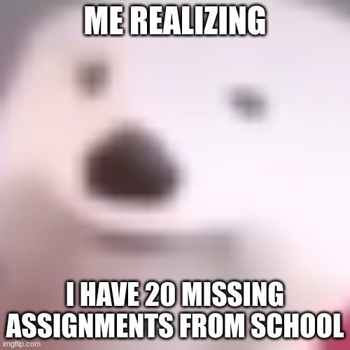 The polar bear | ME REALIZING; I HAVE 20 MISSING ASSIGNMENTS FROM SCHOOL | image tagged in funny | made w/ Imgflip meme maker