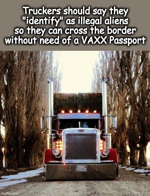 Illegal Aliens can cross without a vaccine passport, why not working truckers? | Truckers should say they "identify" as illegal aliens so they can cross the border without need of a VAXX Passport | image tagged in old truckers,vaccine passportt,covid vaccine,mandates,government overreach | made w/ Imgflip meme maker