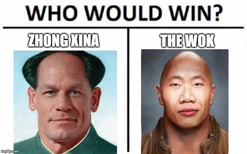 who would win Zhong Xina or The Wok | ZHONG XINA; THE WOK | image tagged in memes,who would win | made w/ Imgflip meme maker