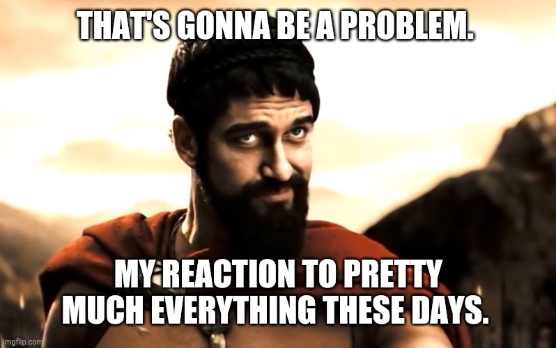 Just about everything. | THAT'S GONNA BE A PROBLEM. MY REACTION TO PRETTY MUCH EVERYTHING THESE DAYS. | image tagged in leonidas 300 | made w/ Imgflip meme maker