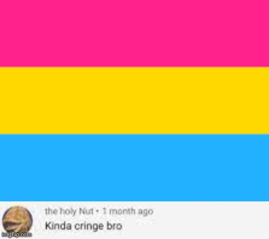 image tagged in pansexual flag,kinda cringe bro | made w/ Imgflip meme maker