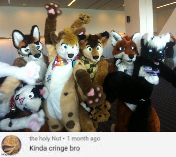 image tagged in furries,kinda cringe bro | made w/ Imgflip meme maker