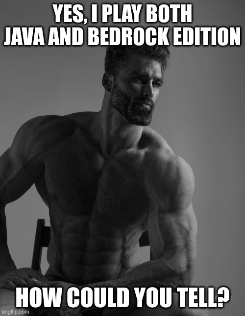 Giga Chad |  YES, I PLAY BOTH JAVA AND BEDROCK EDITION; HOW COULD YOU TELL? | image tagged in giga chad | made w/ Imgflip meme maker
