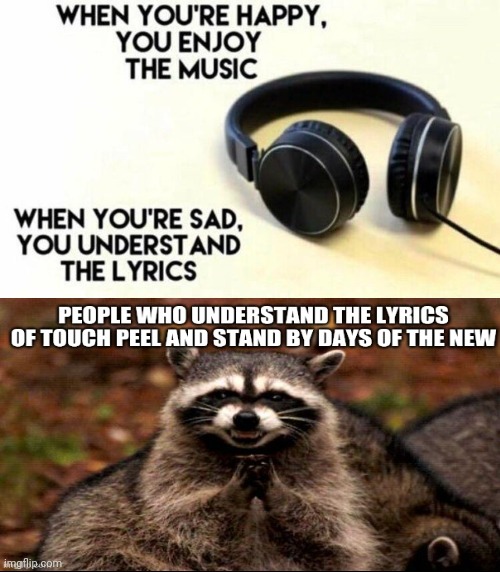 You are the one to abuse | image tagged in when you're happy you enjoy the music,evil plotting raccoon,90s,alternative | made w/ Imgflip meme maker