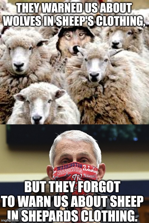 Sheep in shepards clothing | THEY WARNED US ABOUT WOLVES IN SHEEP'S CLOTHING, BUT THEY FORGOT TO WARN US ABOUT SHEEP IN SHEPARDS CLOTHING. | made w/ Imgflip meme maker