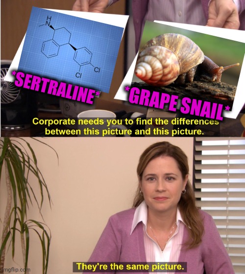-In your garden. | *SERTRALINE*; *GRAPE SNAIL* | image tagged in memes,they're the same picture,snail,chemistry,totally looks like,insect | made w/ Imgflip meme maker
