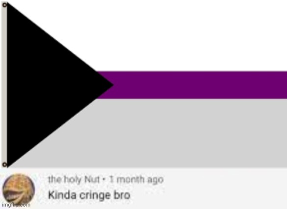 image tagged in demisexual flag,kinda cringe bro | made w/ Imgflip meme maker