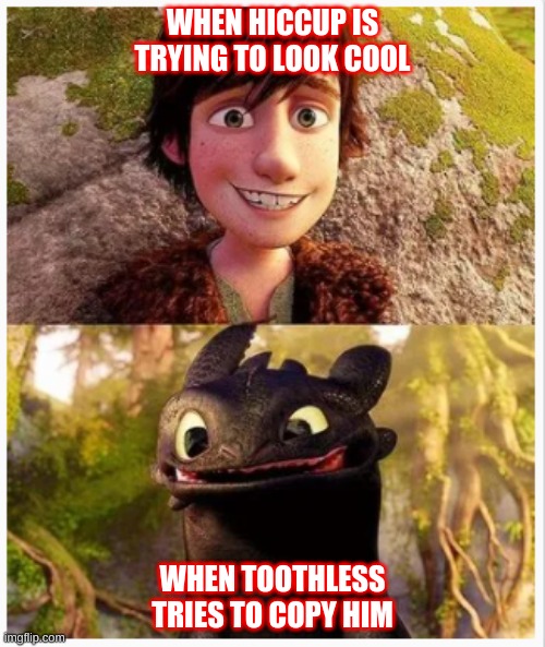 How to train your dragon meme | WHEN HICCUP IS TRYING TO LOOK COOL; WHEN TOOTHLESS TRIES TO COPY HIM | image tagged in change my mind | made w/ Imgflip meme maker