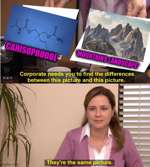 -High cliffs. | *CARISOPRODOL*; *MOUNTAINS LANDSCAPE* | image tagged in memes,they're the same picture,mountain dew,landscape,chemistry,totally looks like | made w/ Imgflip meme maker