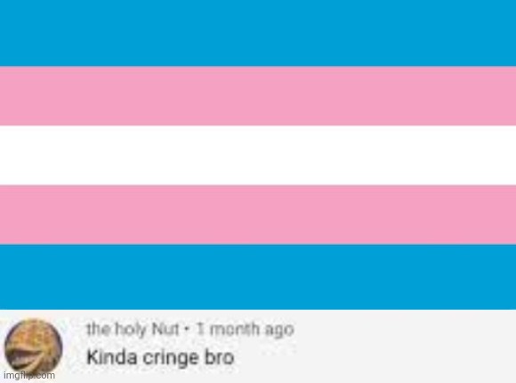 image tagged in transgender flag,kinda cringe bro | made w/ Imgflip meme maker