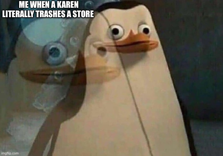 ME WHEN A KAREN LITERALLY TRASHES A STORE | image tagged in karen | made w/ Imgflip meme maker