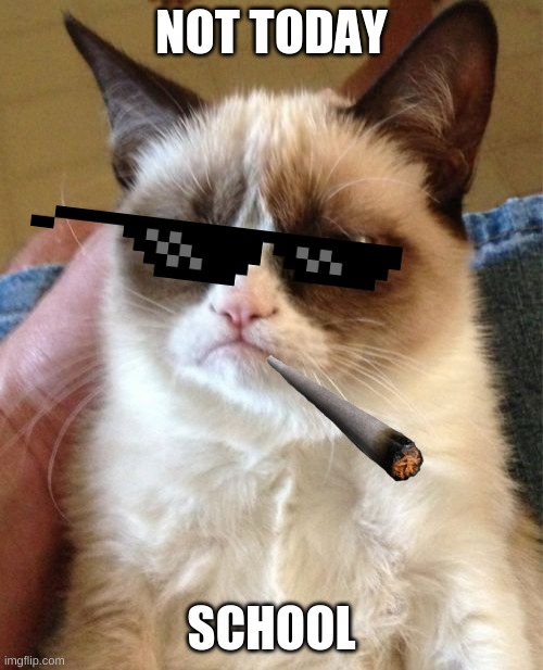 Grumpy Cat Meme |  NOT TODAY; SCHOOL | image tagged in memes,grumpy cat | made w/ Imgflip meme maker