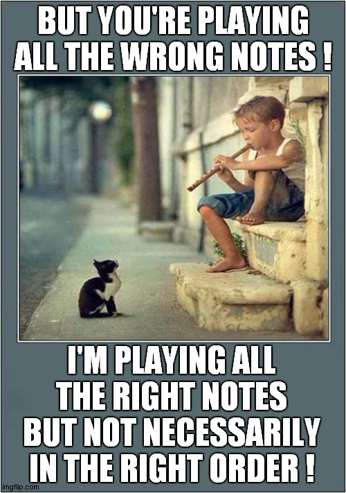 A Cat's Criticism ! | BUT YOU'RE PLAYING ALL THE WRONG NOTES ! I'M PLAYING ALL THE RIGHT NOTES BUT NOT NECESSARILY IN THE RIGHT ORDER ! | image tagged in cats,kittens,wrong notes,morecambe and wise | made w/ Imgflip meme maker