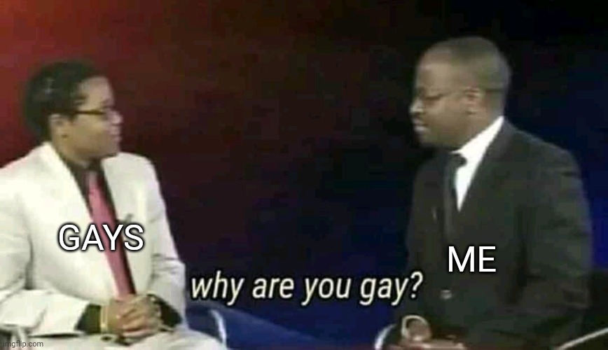 Why are you gay? | ME; GAYS | image tagged in why are you gay | made w/ Imgflip meme maker