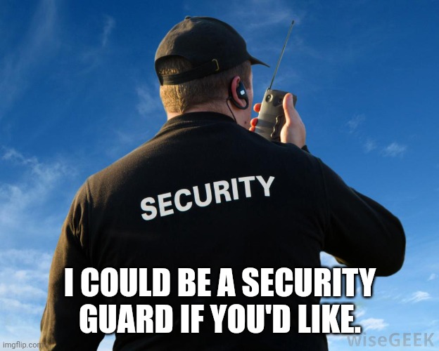 Security Guard Work Stories | I COULD BE A SECURITY GUARD IF YOU'D LIKE. | image tagged in security guard work stories | made w/ Imgflip meme maker