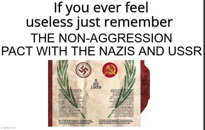If you ever feel useless remember this | THE NON-AGGRESSION PACT WITH THE NAZIS AND USSR | image tagged in if you ever feel useless remember this | made w/ Imgflip meme maker