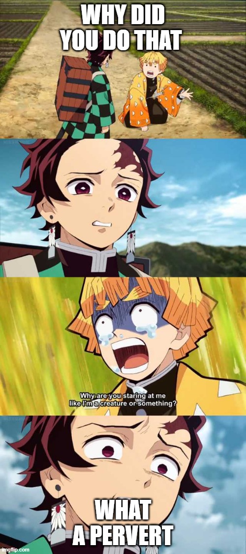 Tanjirou and zenitsu | WHY DID YOU DO THAT; WHAT A PERVERT | image tagged in tanjirou and zenitsu | made w/ Imgflip meme maker