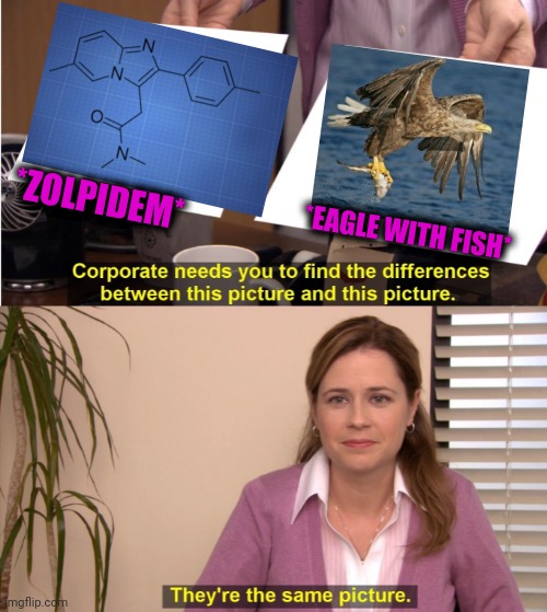 -Caught dinner. | *ZOLPIDEM*; *EAGLE WITH FISH* | image tagged in memes,they're the same picture,chemistry,angry birds,gone fishing,it's what's for dinner | made w/ Imgflip meme maker