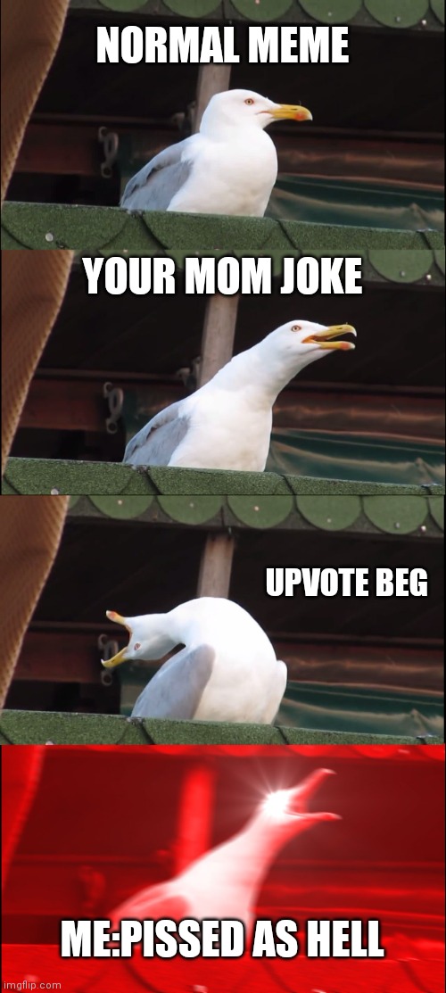My life: | NORMAL MEME; YOUR MOM JOKE; UPVOTE BEG; ME:PISSED AS HELL | image tagged in memes,inhaling seagull | made w/ Imgflip meme maker