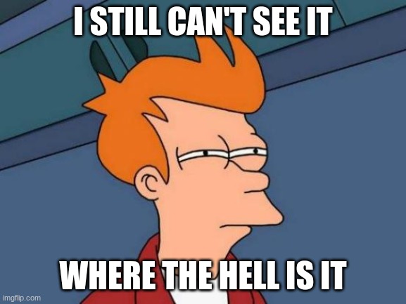 I STILL CAN'T SEE IT WHERE THE HELL IS IT | image tagged in memes,futurama fry | made w/ Imgflip meme maker