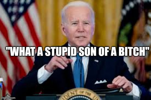 Joe Biden stupid son of a bitch | "WHAT A STUPID SON OF A BITCH" | image tagged in joe biden worries,democrats,democratic socialism | made w/ Imgflip meme maker