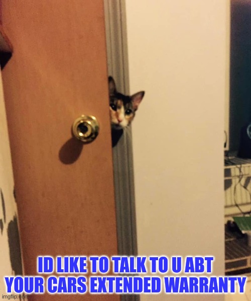 EE | ID LIKE TO TALK TO U ABT YOUR CARS EXTENDED WARRANTY | image tagged in cat peeking around door | made w/ Imgflip meme maker