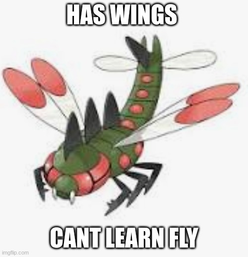 bruh | HAS WINGS; CANT LEARN FLY | image tagged in confused | made w/ Imgflip meme maker