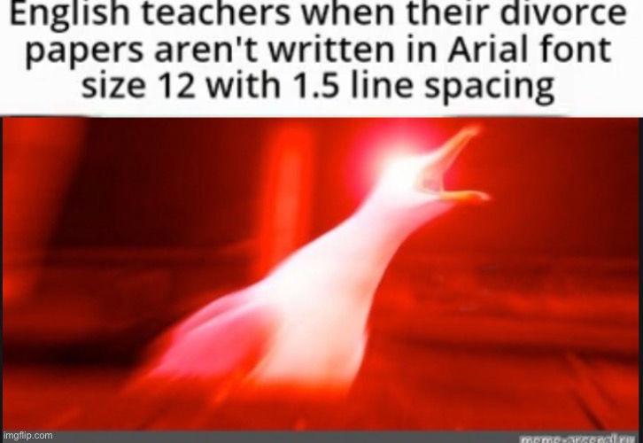 I | image tagged in duck | made w/ Imgflip meme maker