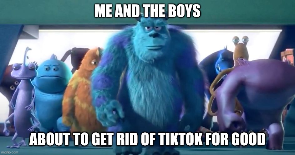 Monsters Inc. Walk | ME AND THE BOYS; ABOUT TO GET RID OF TIKTOK FOR GOOD | image tagged in monsters inc walk,tiktok sucks,tik tok sucks | made w/ Imgflip meme maker