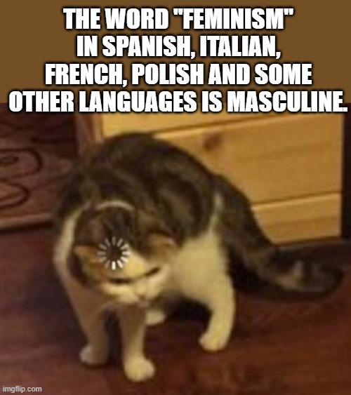 angry feminist noise | THE WORD "FEMINISM" IN SPANISH, ITALIAN, FRENCH, POLISH AND SOME OTHER LANGUAGES IS MASCULINE. | image tagged in loading cat | made w/ Imgflip meme maker