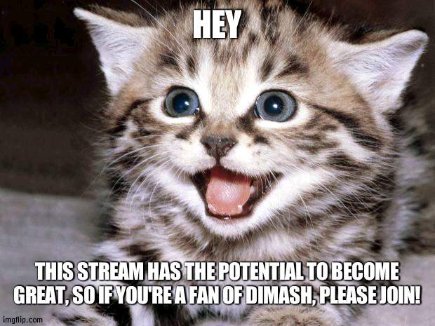 i'll appreciate it :] | HEY; THIS STREAM HAS THE POTENTIAL TO BECOME GREAT, SO IF YOU'RE A FAN OF DIMASH, PLEASE JOIN! | image tagged in uber cute cat | made w/ Imgflip meme maker