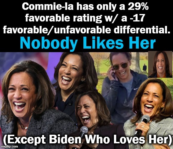 Can You Hear The Cackle? | image tagged in political meme,kamala harris,dumbo,democrat,affirmative action hire,underwhelming | made w/ Imgflip meme maker