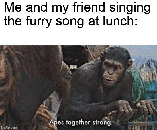 Correct | Me and my friend singing the furry song at lunch: | image tagged in apes together strong | made w/ Imgflip meme maker