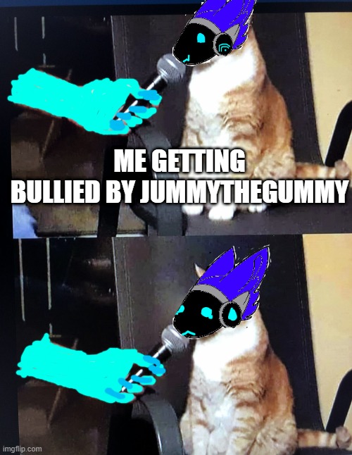 help me | ME GETTING BULLIED BY JUMMYTHEGUMMY | image tagged in cat interview crying | made w/ Imgflip meme maker