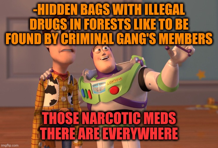 -For later selling portions. | -HIDDEN BAGS WITH ILLEGAL DRUGS IN FORESTS LIKE TO BE FOUND BY CRIMINAL GANG'S MEMBERS; THOSE NARCOTIC MEDS THERE ARE EVERYWHERE | image tagged in memes,x x everywhere,don't do drugs,criminal minds,forest,hidden | made w/ Imgflip meme maker