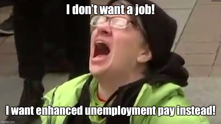 Screaming Liberal  | I don’t want a job! I want enhanced unemployment pay instead! | image tagged in screaming liberal | made w/ Imgflip meme maker