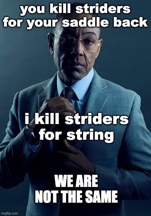 we "aren't" the same | you kill striders for your saddle back; i kill striders for string; WE ARE NOT THE SAME | image tagged in minecraft,memes,funny,gus fring we are not the same | made w/ Imgflip meme maker