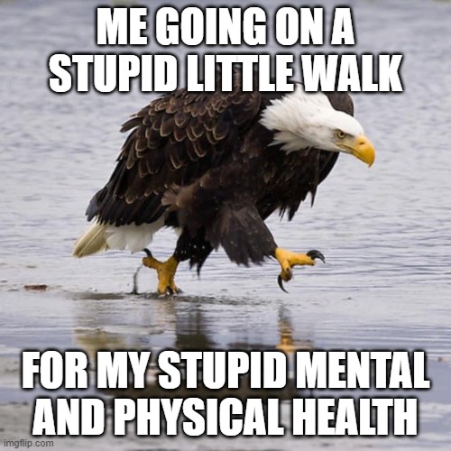 Angry Eagle | ME GOING ON A STUPID LITTLE WALK; FOR MY STUPID MENTAL AND PHYSICAL HEALTH | image tagged in angry eagle | made w/ Imgflip meme maker