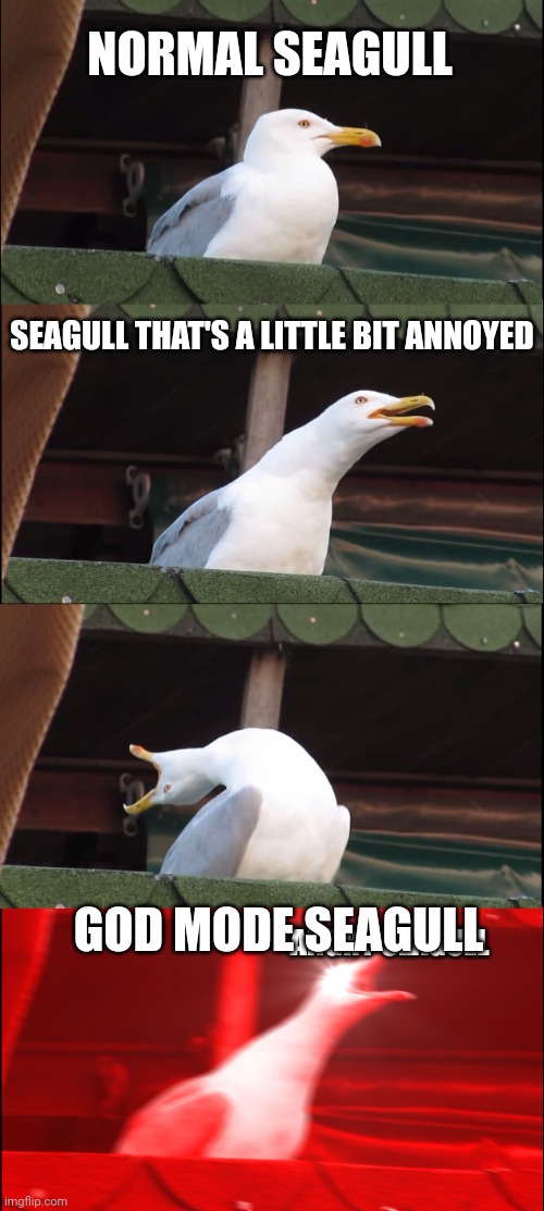 The life of a seagull | NORMAL SEAGULL; SEAGULL THAT'S A LITTLE BIT ANNOYED; GOD MODE SEAGULL; ANGRY SEAGULL | image tagged in memes,inhaling seagull,pigoscar | made w/ Imgflip meme maker