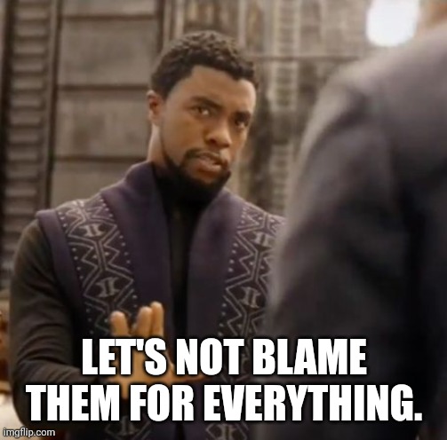 We don't do that here | LET'S NOT BLAME THEM FOR EVERYTHING. | image tagged in we don't do that here | made w/ Imgflip meme maker