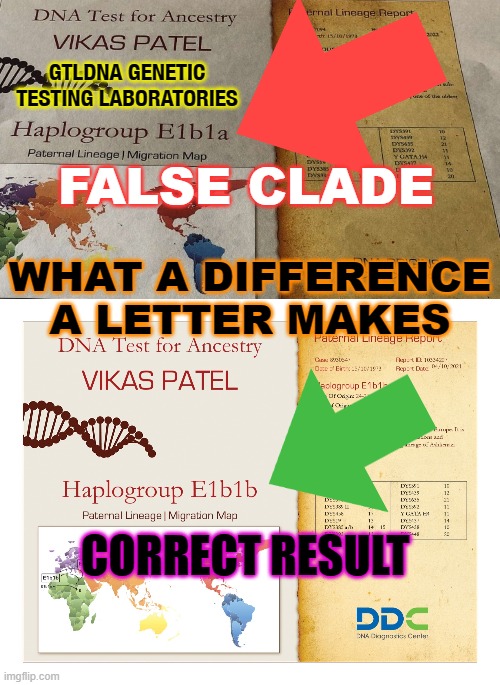 What a Difference a Letter Makes | GTLDNA GENETIC TESTING LABORATORIES; WHAT A DIFFERENCE A LETTER MAKES; FALSE CLADE; CORRECT RESULT | image tagged in genetics | made w/ Imgflip meme maker