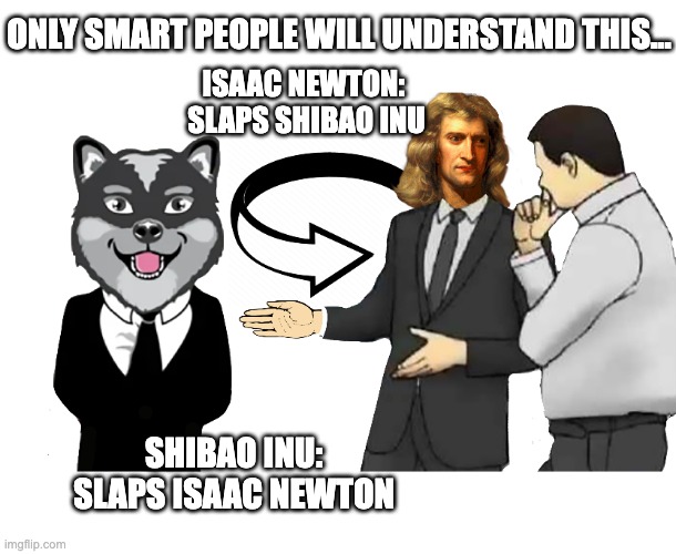 Only smart people will understand.. | ONLY SMART PEOPLE WILL UNDERSTAND THIS... ISAAC NEWTON: 
SLAPS SHIBAO INU; SHIBAO INU:
SLAPS ISAAC NEWTON | image tagged in physics,cryptocurrency,shibao inu,sir isaac newton,shiba inu | made w/ Imgflip meme maker