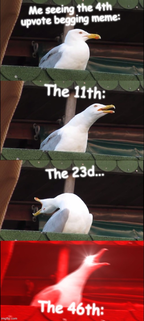 Ahhh!(aka relatable) | Me seeing the 4th upvote begging meme:; The 11th:; The 23d... The 46th: | image tagged in memes,inhaling seagull,geek,nope | made w/ Imgflip meme maker