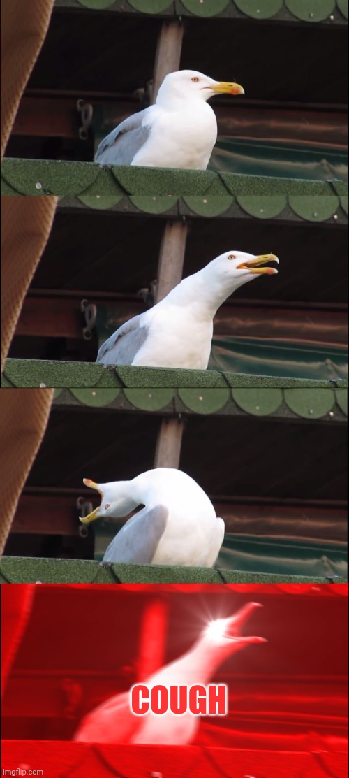 How people imagine coughs because of corona | COUGH | image tagged in memes,inhaling seagull,coronavirus,deez nutz,because | made w/ Imgflip meme maker
